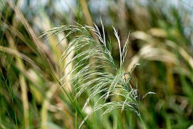 催泪佳作《六月衷曲》正式登陆蒸汽平台，一场爱与拯救的冒险